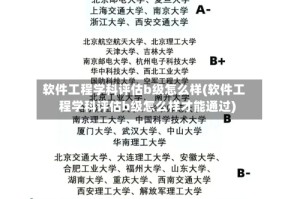 软件工程学科评估b级怎么样(软件工程学科评估b级怎么样才能通过)