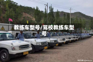 教练车型号/驾校教练车型号