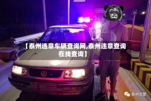 【泰州违章车辆查询网,泰州违章查询在线查询】