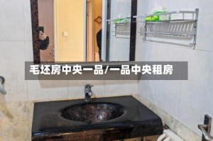 毛坯房中央一品/一品中央租房