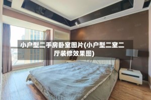 小户型二手房卧室图片(小户型二室二厅装修效果图)