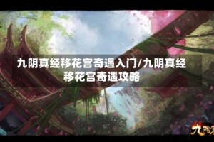 九阴真经移花宫奇遇入门/九阴真经移花宫奇遇攻略
