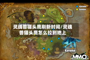 灵魂兽猫头鹰刷新时间/灵魂兽猫头鹰怎么拉到地上