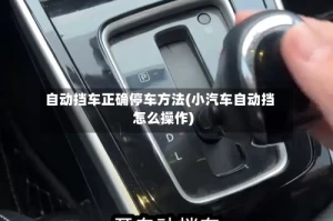 自动挡车正确停车方法(小汽车自动挡怎么操作)
