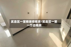 武昌区一室精装修租房/武昌区一室一厅出租房