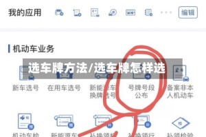 选车牌方法/选车牌怎样选