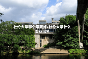 杜伦大学哪个学院好/杜伦大学什么专业出名