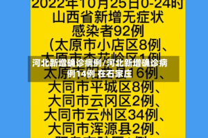 河北新增确诊病例/河北新增确诊病例14例 在石家庄