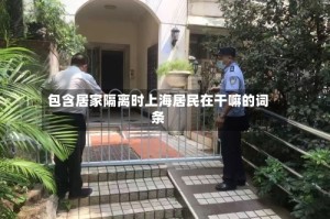 包含居家隔离时上海居民在干嘛的词条