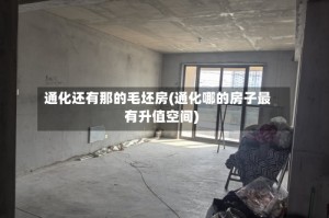 通化还有那的毛坯房(通化哪的房子最有升值空间)