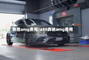 奔驰amg费用/a35奔驰amg费用