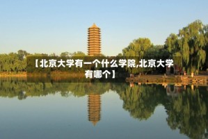 【北京大学有一个什么学院,北京大学有哪个】