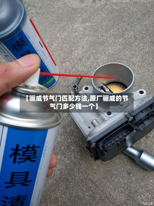 【骊威节气门匹配方法,原厂骊威的节气门多少钱一个】-第1张图片