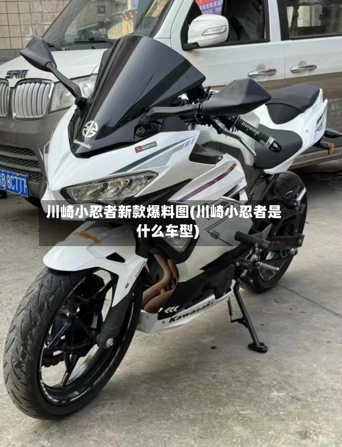 川崎小忍者新款爆料图(川崎小忍者是什么车型)-第1张图片