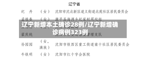 辽宁新增本土确诊28例/辽宁新增确诊病例323例-第1张图片