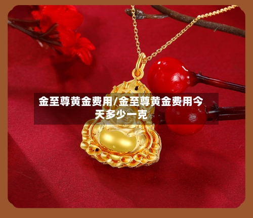 金至尊黄金费用/金至尊黄金费用今天多少一克-第3张图片