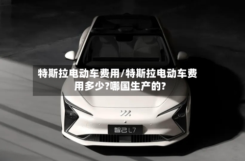 特斯拉电动车费用/特斯拉电动车费用多少?哪国生产的?-第1张图片