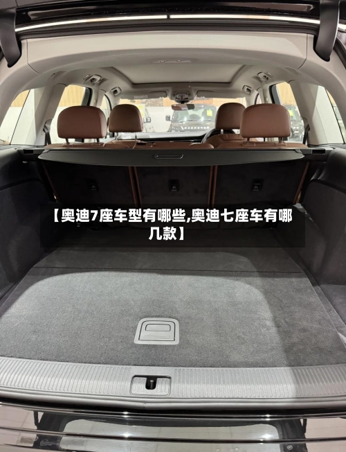 【奥迪7座车型有哪些,奥迪七座车有哪几款】-第1张图片