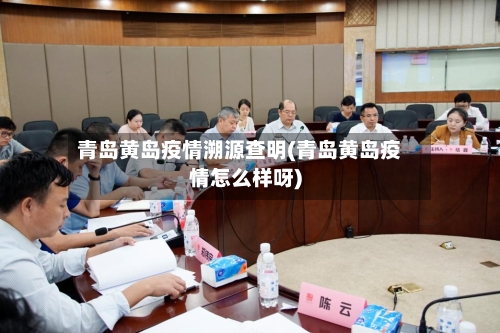 青岛黄岛疫情溯源查明(青岛黄岛疫情怎么样呀)-第1张图片
