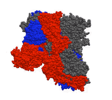 全国疫情地图/全国疫情地图最新动态-第1张图片