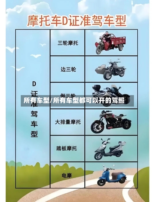 所有车型/所有车型都可以开的驾照-第2张图片