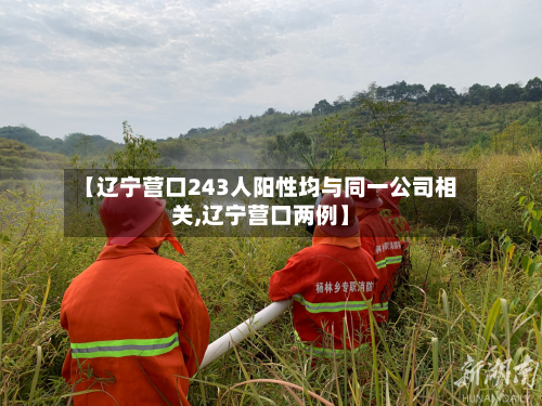 【辽宁营口243人阳性均与同一公司相关,辽宁营口两例】-第2张图片