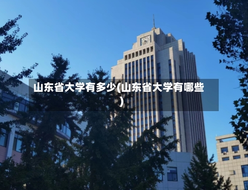 山东省大学有多少(山东省大学有哪些)-第1张图片