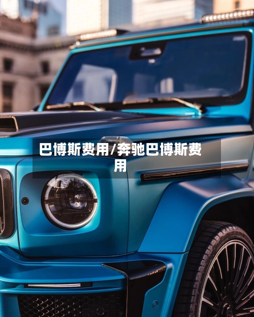 巴博斯费用/奔驰巴博斯费用-第1张图片