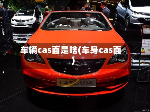 车辆cas面是啥(车身cas面)-第1张图片