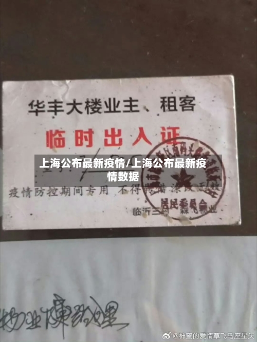 上海公布最新疫情/上海公布最新疫情数据-第2张图片