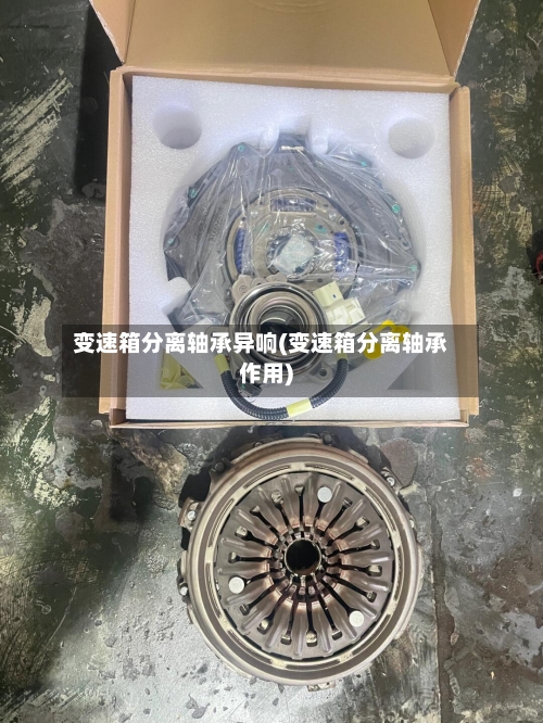 变速箱分离轴承异响(变速箱分离轴承作用)-第3张图片