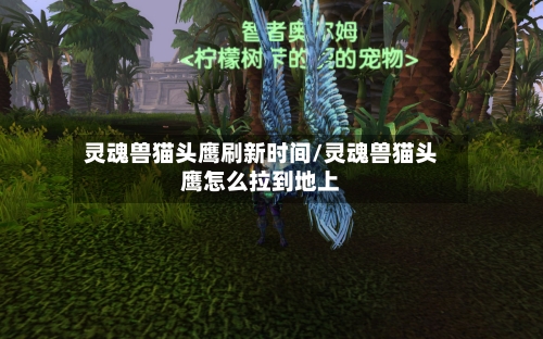 灵魂兽猫头鹰刷新时间/灵魂兽猫头鹰怎么拉到地上-第2张图片