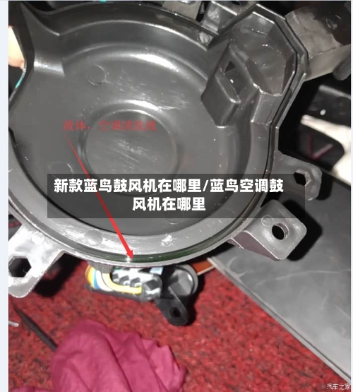 新款蓝鸟鼓风机在哪里/蓝鸟空调鼓风机在哪里-第2张图片
