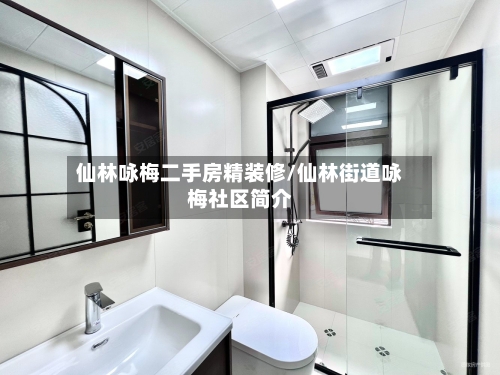 仙林咏梅二手房精装修/仙林街道咏梅社区简介-第3张图片