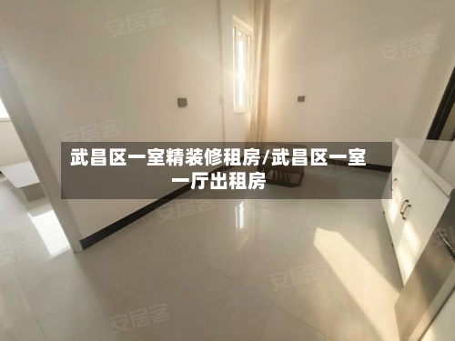 武昌区一室精装修租房/武昌区一室一厅出租房-第1张图片