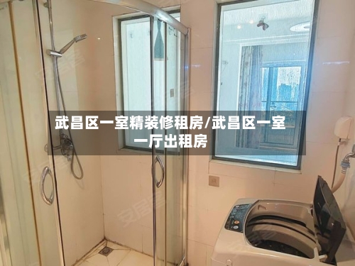 武昌区一室精装修租房/武昌区一室一厅出租房-第2张图片