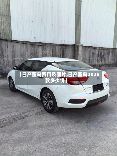 【日产蓝鸟费用及图片,日产蓝鸟2025款多少钱】-第1张图片