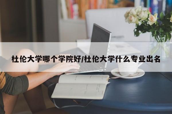 杜伦大学哪个学院好/杜伦大学什么专业出名
